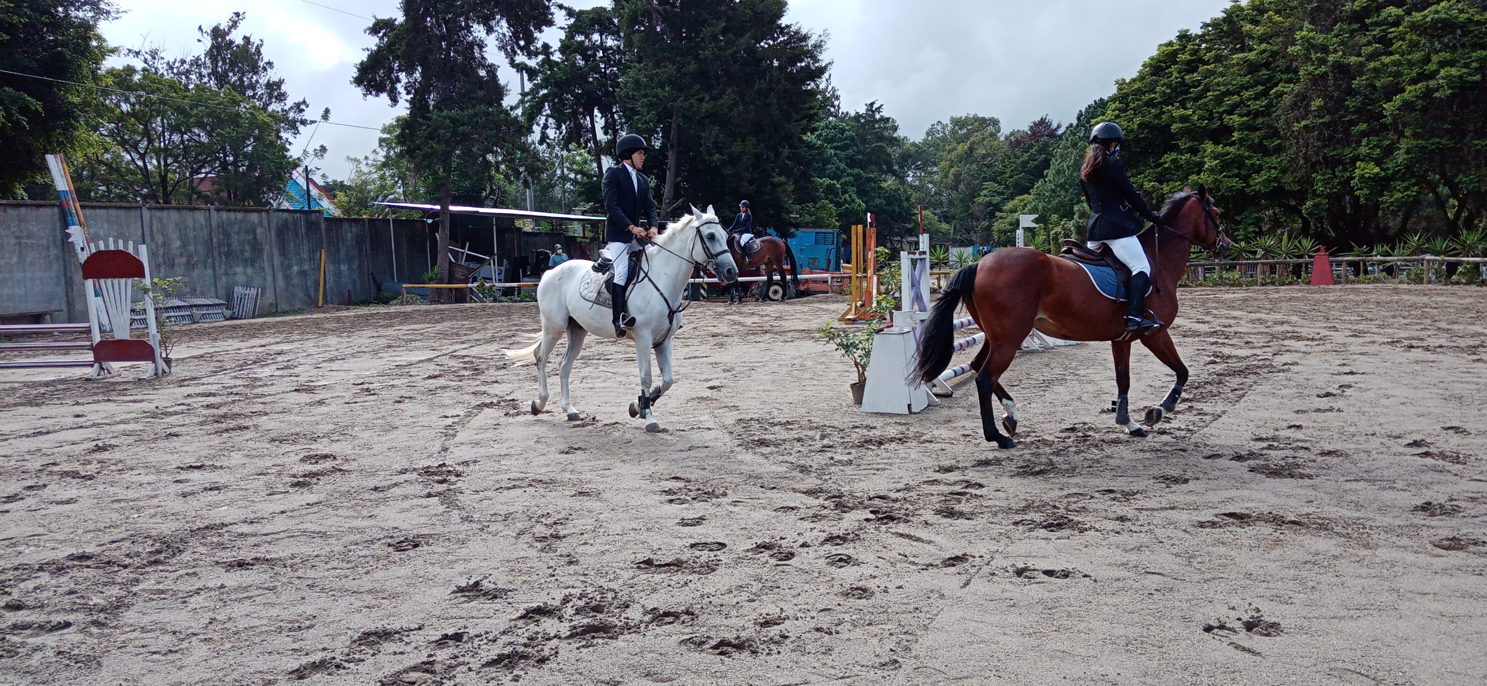 RESULTADOS EVENTO EQUITACION - III RANKING NACIONAL JULIO 2021